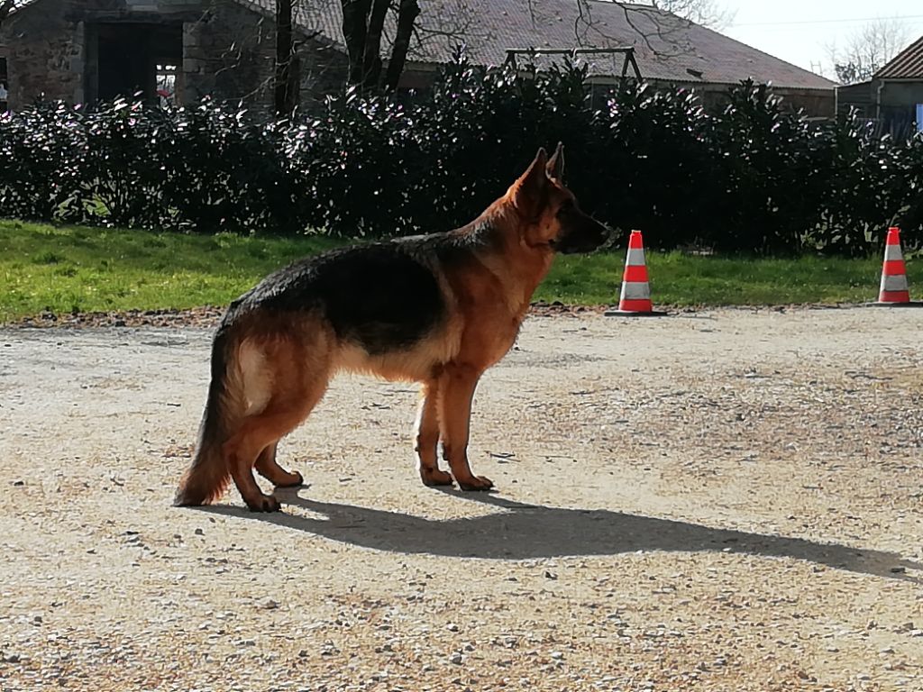 Nala Du haut mansard