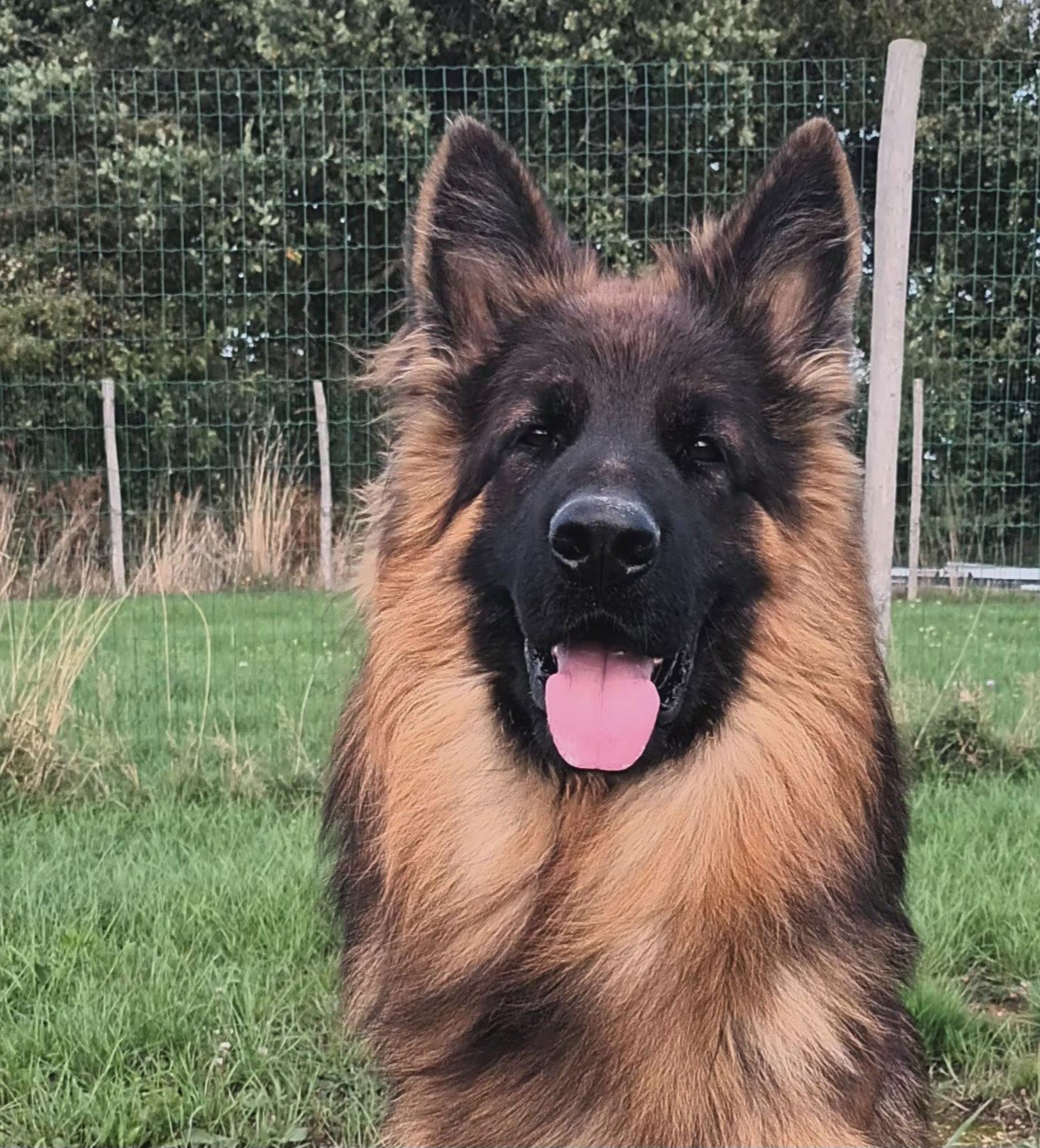 Valmy du Domaine du Val D'Aulnoy